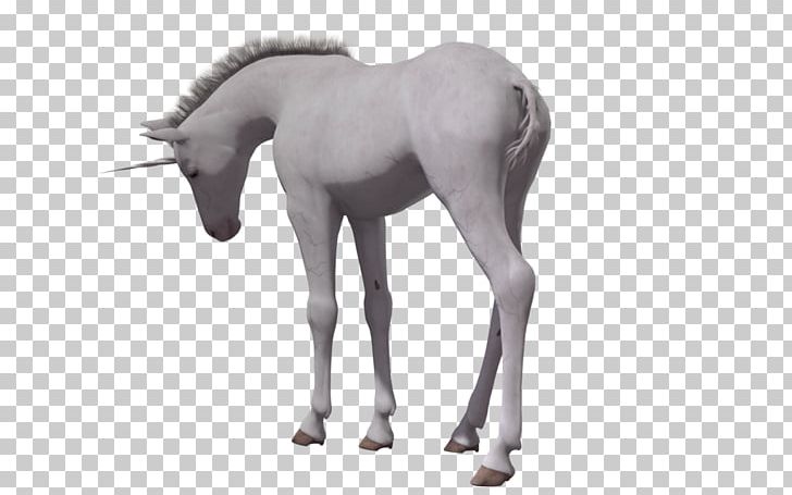 Horse Foal Unicorn PNG, Clipart, Animal Figure, Animals, Black And White, Cartoon, Colt Free PNG Download