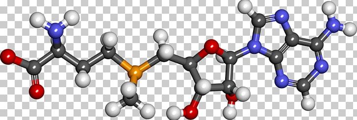 S-Adenosyl Methionine Methylation Methyl Group S-Adenosyl-L-homocysteine PNG, Clipart, 4 R, 5 R, Adenosine Triphosphate, Amino, Amino Acid Free PNG Download