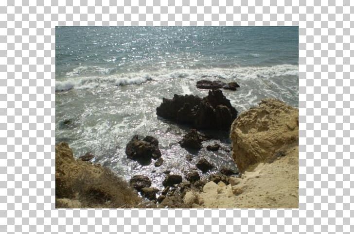 Shore Sea Coast Ocean Inlet PNG, Clipart, California Beach, Coast, Coastal And Oceanic Landforms, Inlet, Nature Free PNG Download