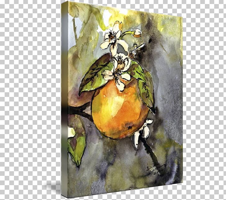 Still Life Photography Watercolor Painting Pear PNG, Clipart, Artwork, Food, Fruit, Paint, Painting Free PNG Download