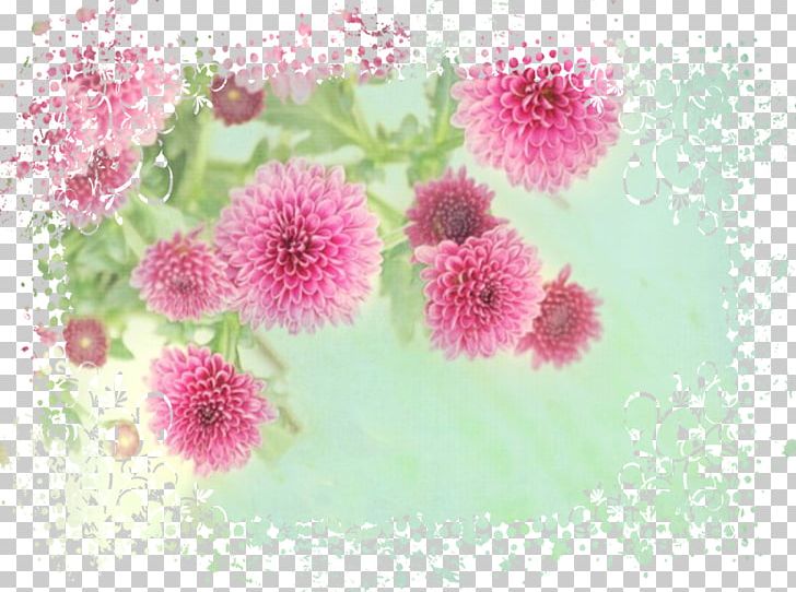 Chrysanthemum Good Твори Добро Floral Design Flower PNG, Clipart, Beauty, Blossom, Chrysanthemum, Chrysanths, Daisy Family Free PNG Download