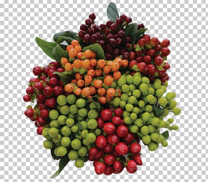 Cranberry Vegetarian Cuisine Lingonberry Food Pink Peppercorn PNG, Clipart, Auglis, Berry, Cranberry, Diet, Diet Food Free PNG Download