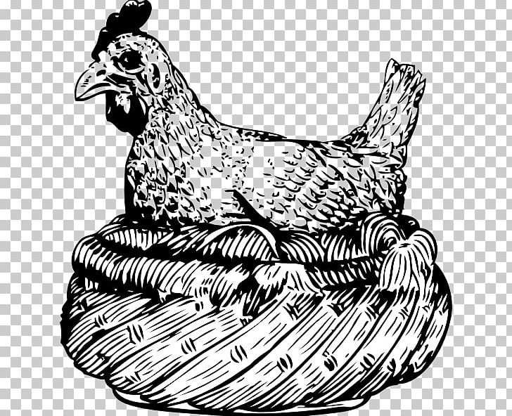 Chicken Drawing PNG, Clipart, Animals, Artwork, Basketball, Beak, Bird Free PNG Download