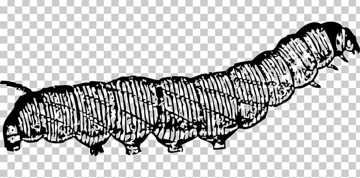 Drawing Caterpillar PNG, Clipart, Animals, Black, Black And White, Carnivoran, Caterpillar Free PNG Download