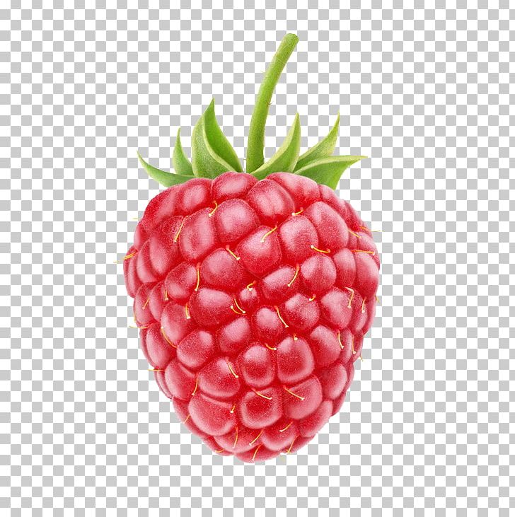 Fruit Salad Raspberry Spread Food PNG, Clipart, Accessory Fruit, Berry, Blackberry, Blueberry, Cheesecake Free PNG Download