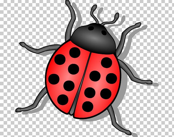 Beetle Ladybird Drawing PNG, Clipart, Animal, Animation, Arthropod, Beetle, Beetle Cliparts Free PNG Download