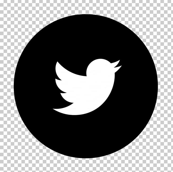 Computer Icons Logo PNG, Clipart, Beak, Bird, Black, Black And White, Circle Free PNG Download