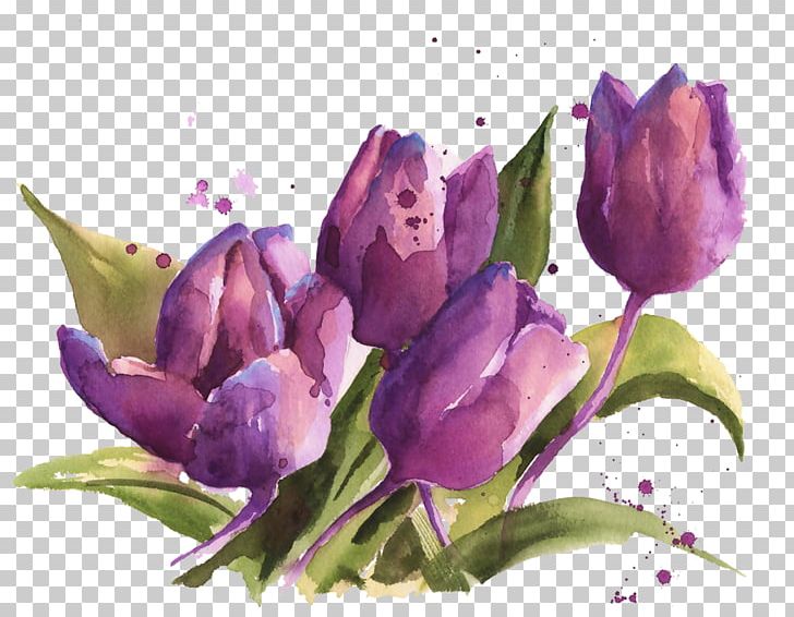 Floral Design Flower Tulip PNG, Clipart, Cut Flowers, Designer, Drawing, Floristry, Flower Arranging Free PNG Download