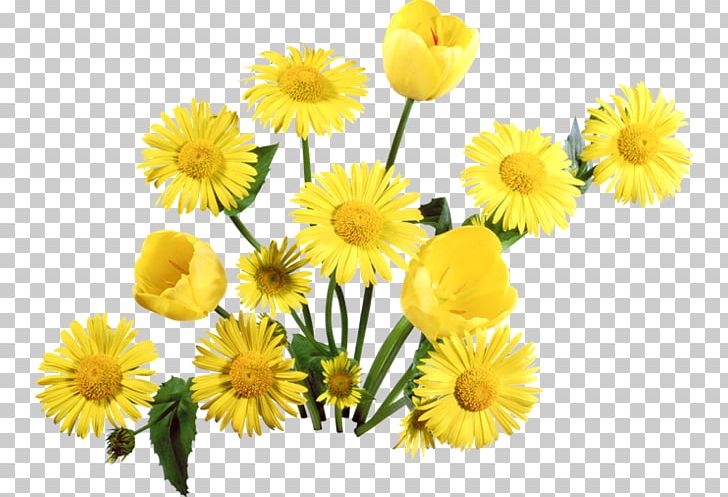 Flower Bouquet Petal Tulip PNG, Clipart, Artificial Flower, Calendula, Chamaemelum Nobile, Chr, Daisy Family Free PNG Download
