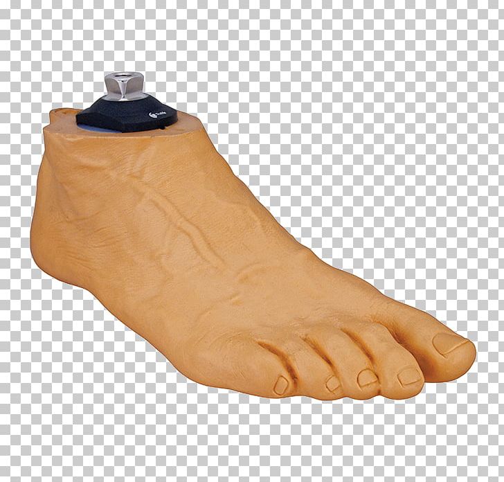 Foot Prosthesis Amputation Toe Heel PNG, Clipart, Amputation, Finger, Foot, Hand, Heel Free PNG Download