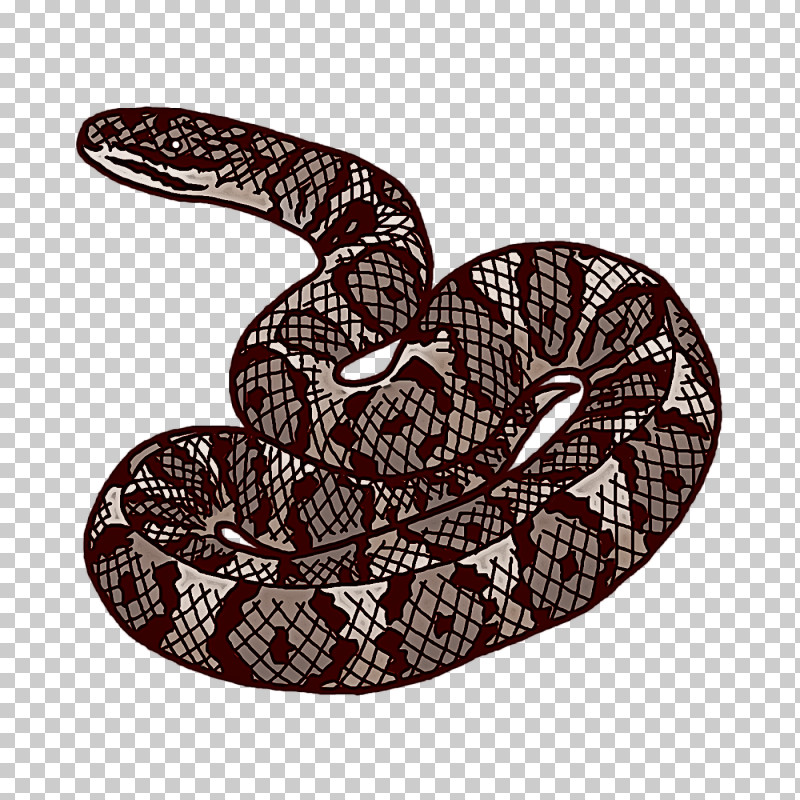 Rattlesnake Boa Constrictor Kingsnakes Vipers Cartoon PNG, Clipart, Boa Constrictor, Cartoon, Drawing, Kingsnakes, Logo Free PNG Download
