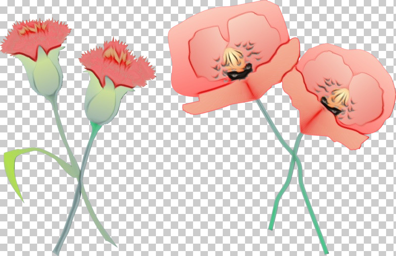 Flower Cut Flowers Pink Petal Plant PNG, Clipart, Cut Flowers, Flower, Paint, Pedicel, Petal Free PNG Download
