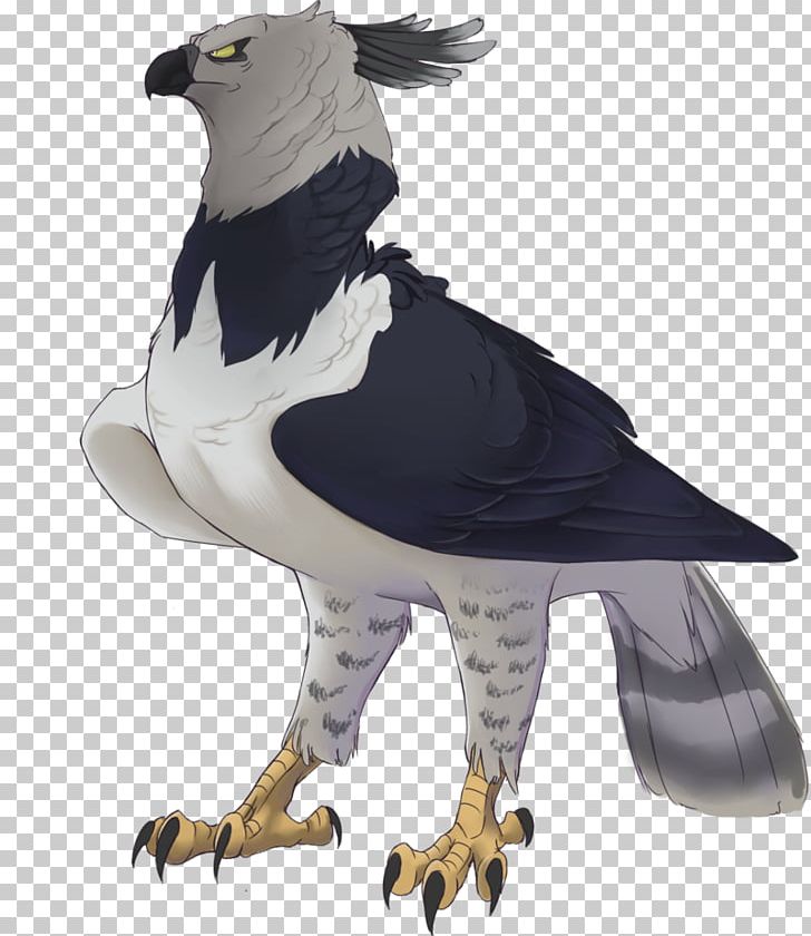 Harpy Eagle Bird Drawing PNG, Clipart, Animal, Animals, Art, Beak, Bird Free PNG Download