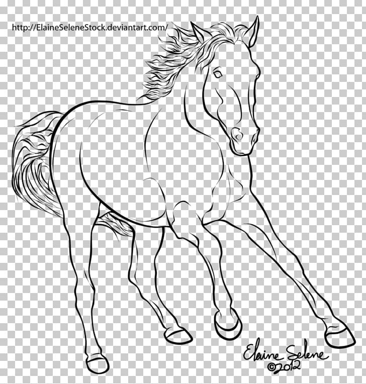 Mule Mustang American Paint Horse Stallion Foal PNG, Clipart, Animal Figure, Artwork, Black And White, Bridle, Colt Free PNG Download