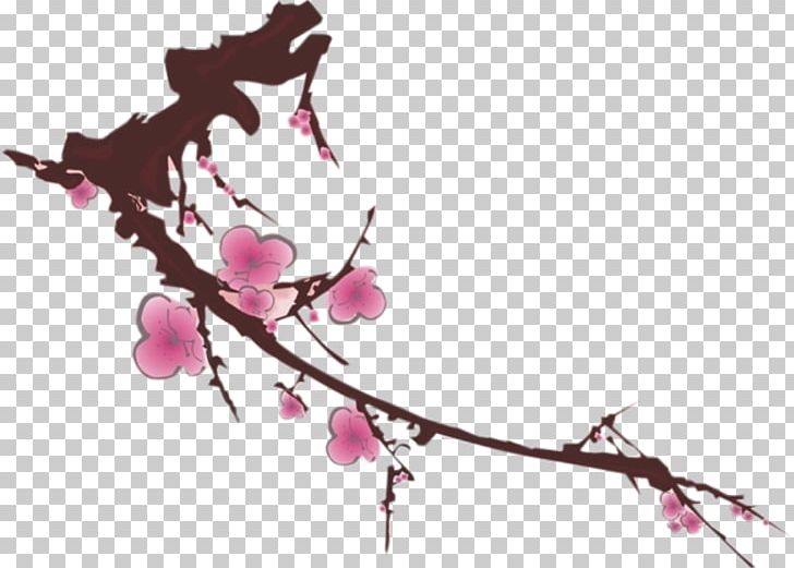 Petal Plum Blossom PNG, Clipart, Branch, Cherry Blossom, Classic, Classical, Designer Free PNG Download