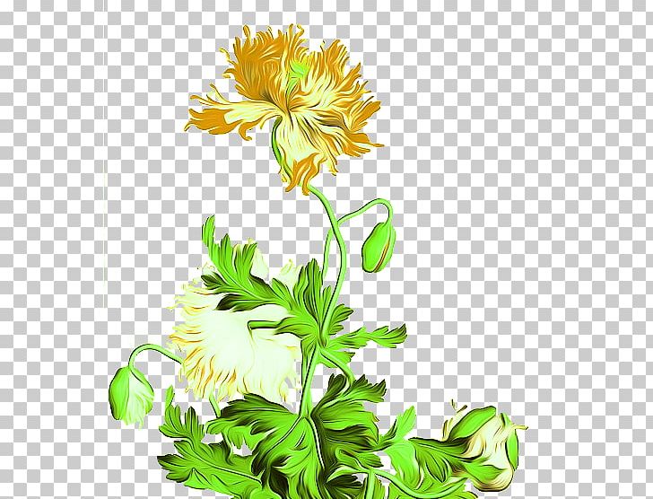 Qing Dynasty Chinese Painting Flower Painter PNG, Clipart, Chrysanthemum Chrysanthemum, Chrysanthemums, Dahlia, Daisy Family, Floral Design Free PNG Download