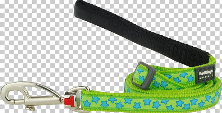 Leash Dingo Dog Green Lime PNG, Clipart, Animals, Centimeter, Dingo, Dog, Fashion Accessory Free PNG Download