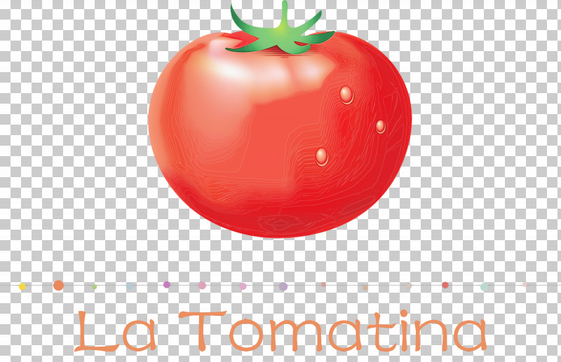 Tomato PNG, Clipart, Apple, Datterino Tomato, Genus, La Tomatina, Local Food Free PNG Download