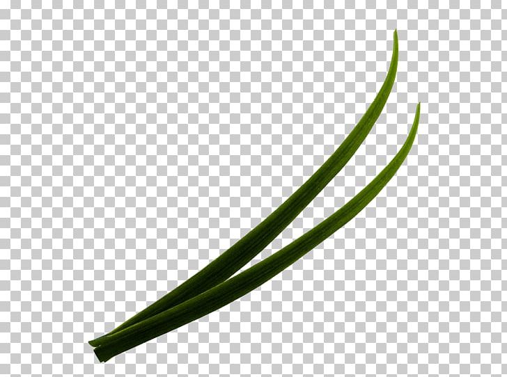 Green Leaf Angle PNG, Clipart, Angle, Artificial Grass, Cartoon Grass, Creative, Creative Grass Free PNG Download