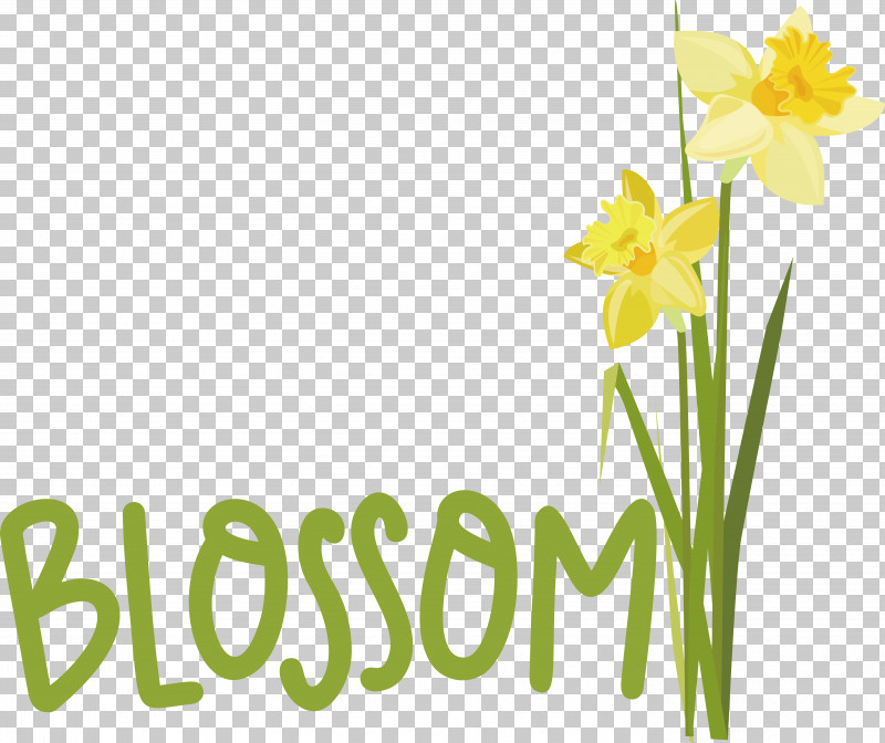 Floral Design PNG, Clipart, Cut Flowers, Daffodil, Floral Design, Flower, Happiness Free PNG Download