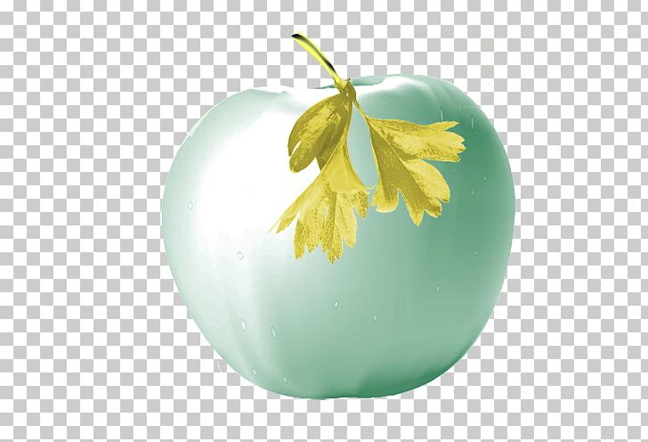 Apple Photography PNG, Clipart, Apple, Apple Fruit, Apple Logo, Apples, Apple Tree Free PNG Download