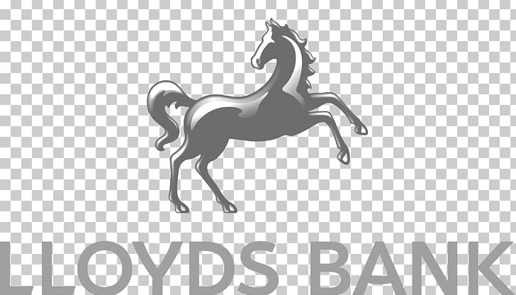 Lloyds Bank Business Finance Insurance PNG, Clipart,  Free PNG Download