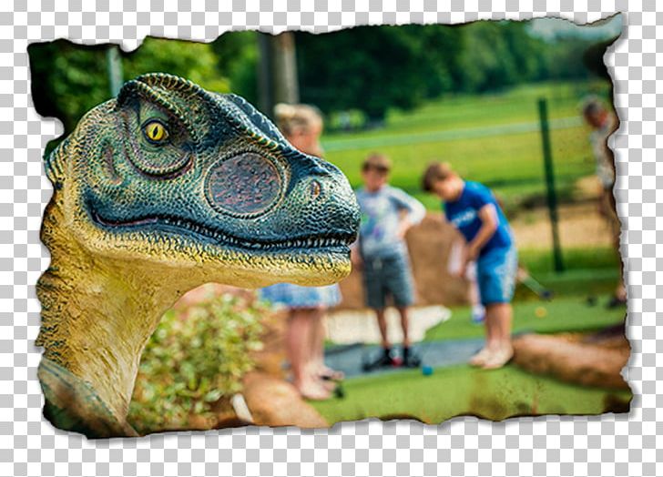 Alligators Dinosaur Fauna PNG, Clipart, Alligator, Alligators, Dinosaur, Fantasy, Fauna Free PNG Download
