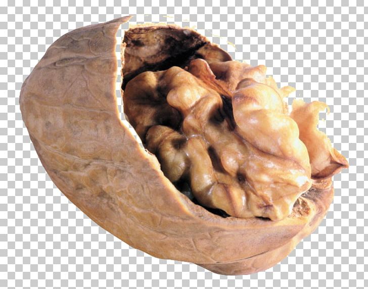 English Walnut PNG, Clipart, Acorn, Cashew, Dish, English Walnut, Food Free PNG Download