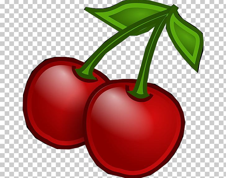 Fruit Plum PNG, Clipart, Apple, Cherry, Computer Icons, Desktop Wallpaper, Drawing Free PNG Download