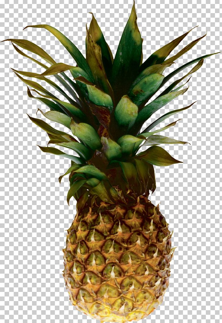 Juice Pineapple PNG, Clipart, Ananas, Bromeliaceae, Clip Art, Download, Encapsulated Postscript Free PNG Download