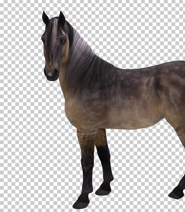 Mustang Stallion Mare Rein Pack Animal PNG, Clipart, 2019 Ford Mustang, Crowed, Ford Mustang, Halter, Horse Free PNG Download