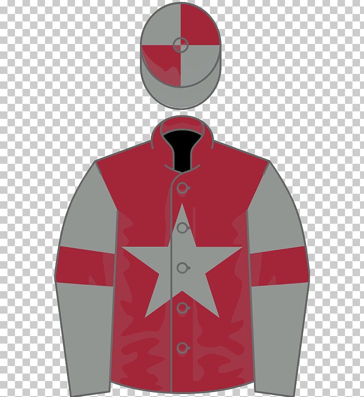 Thoroughbred Cheltenham Festival National Hunt Racing Horse Racing The Grand National PNG, Clipart, Cheltenham Festival, Collar, Grand National, Horse, Horse Racing Free PNG Download