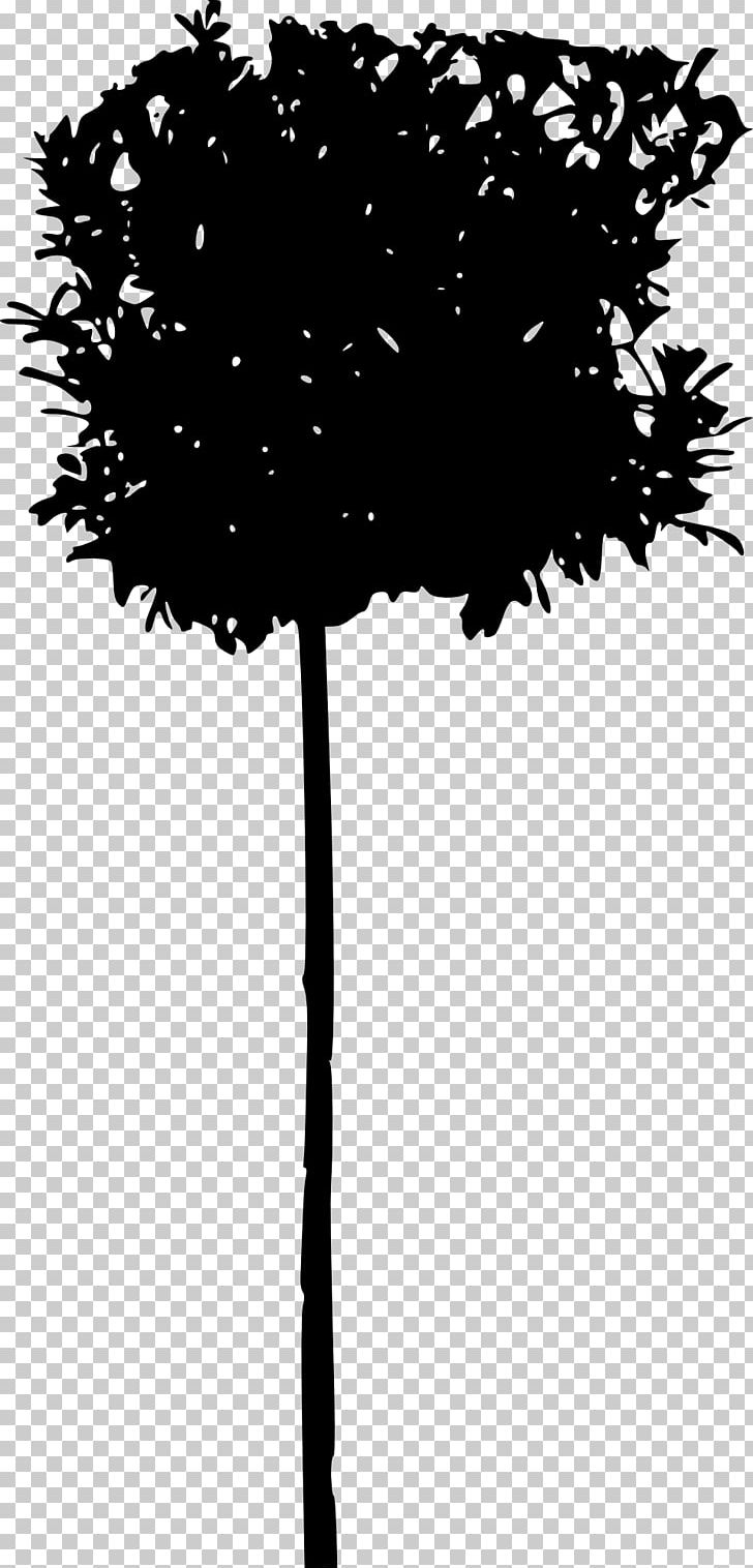 Tree Branch Woody Plant Twig Silhouette PNG, Clipart, Black And White, Branch, Flower, Flowering Plant, Leaf Free PNG Download