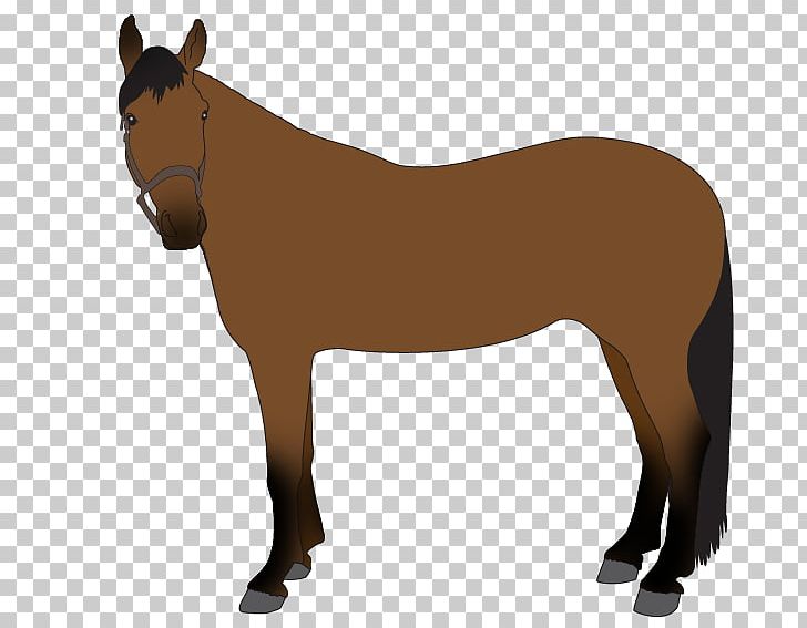 Mule Pony Stallion Mustang Horse Blanket PNG, Clipart, Blanket, Bri, Clothing, Colt, Fur Free PNG Download