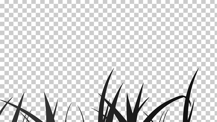 Twig Plant Stem Grasses White Leaf PNG, Clipart, Black, Branch, Computer, Computer Wallpaper, Desktop Wallpaper Free PNG Download