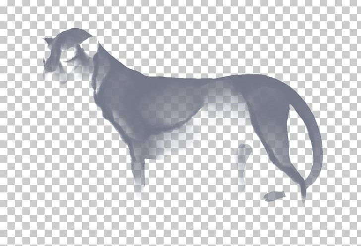 Whippet Dog Breed Italian Greyhound Felidae Cheetah PNG, Clipart, Animals, Astrachan, Carnivoran, Cheetah, Dog Free PNG Download