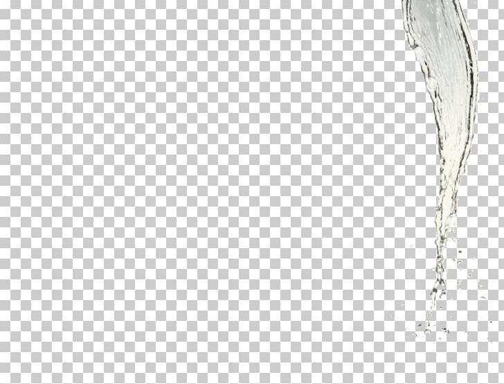 Body Jewellery Twig Water PNG, Clipart, Black, Black And White, Body, Body Jewellery, Body Jewelry Free PNG Download