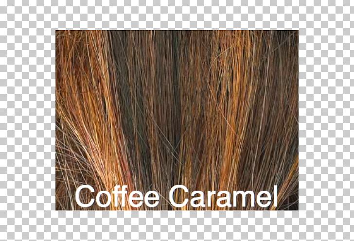 Brown Hair Long Hair Caramel Color Hair Coloring PNG, Clipart, Brown, Brown Hair, Caramel Color, Golden Smoke, Hair Free PNG Download