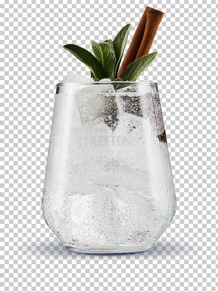 Gin And Tonic Tonic Water Cocktail Distilled Beverage PNG, Clipart, Alcoholic Drink, Artifact, Cocktail, Distilled Beverage, Drink Free PNG Download