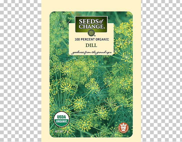 Herbalism Dill Organic Food PNG, Clipart, Certification, Dill, Flora, Grass, Herb Free PNG Download