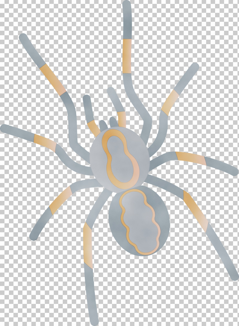 Biology Science PNG, Clipart, Biology, Cartoon Spider, Paint, Science, Watercolor Free PNG Download