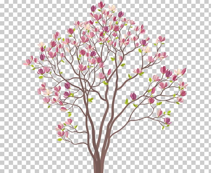 Drawing PNG, Clipart, Blossom, Branch, Cherry Blossom, Cut Flowers, Drawing Free PNG Download