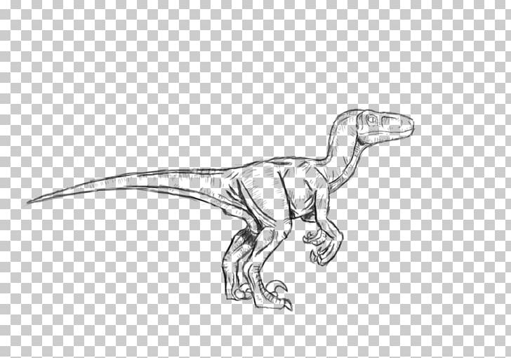 Velociraptor Troodon Tyrannosaurus Dilophosaurus Dinosaur PNG, Clipart, Artwork, Black And White, Chicken Stencil, Color, Coloring Book Free PNG Download