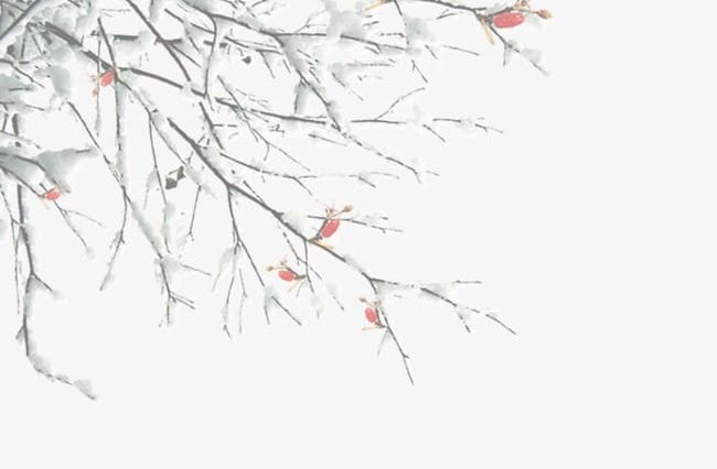 Winter Tree Branches PNG, Clipart, Branches, Branches Clipart, Snow, Tree Clipart, Winter Free PNG Download