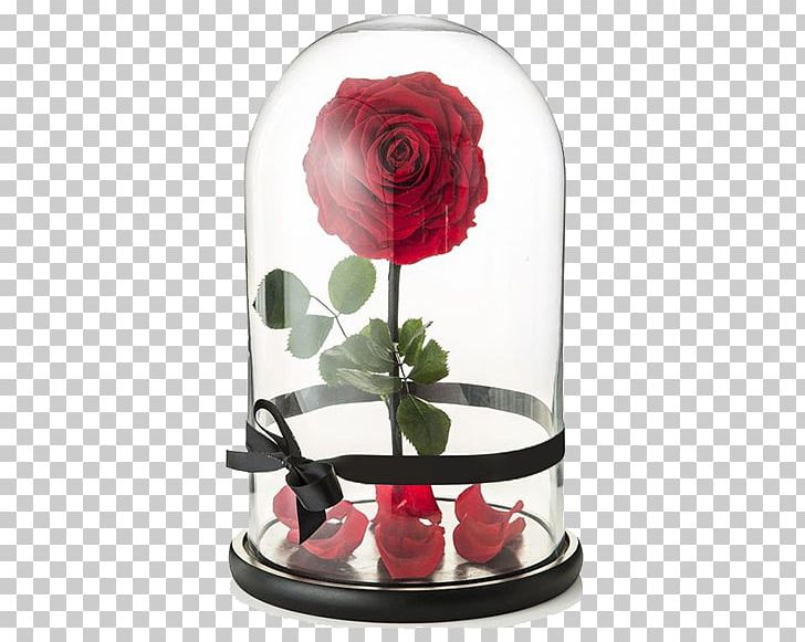 Beast Belle Rose The Walt Disney Company Flower PNG, Clipart, Beast ...