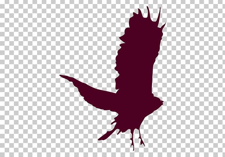 Bird Silhouette Flight Motion PNG, Clipart, Aguila, Animals, Beak, Bird, Bird Of Prey Free PNG Download