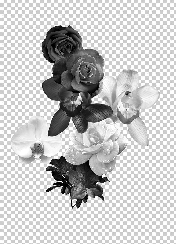 Black And White Flower Monochrome Photography PNG, Clipart, Background Black, Black, Black And White Roses, Black Background, Black Hair Free PNG Download