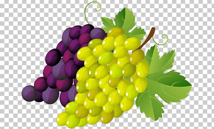 Common Grape Vine Wine Grape Leaves PNG, Clipart, Blog, Common Grape Vine, Food, Free Content, Fruit Free PNG Download