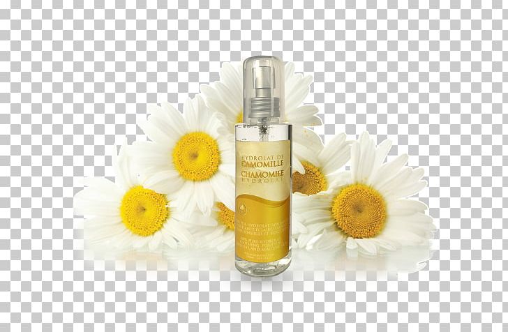 Roman Chamomile Herbal Distillate Oil German Chamomile PNG, Clipart, Antiinflammatory, Argan Oil, Camomile, Chamomile, Cosmetics Free PNG Download