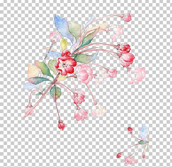 Malus Halliana Malus Spectabilis Illustration PNG, Clipart, Apples, Art, Blossom, Branch, Cherry Blossom Free PNG Download